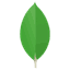 MongoDB Logo