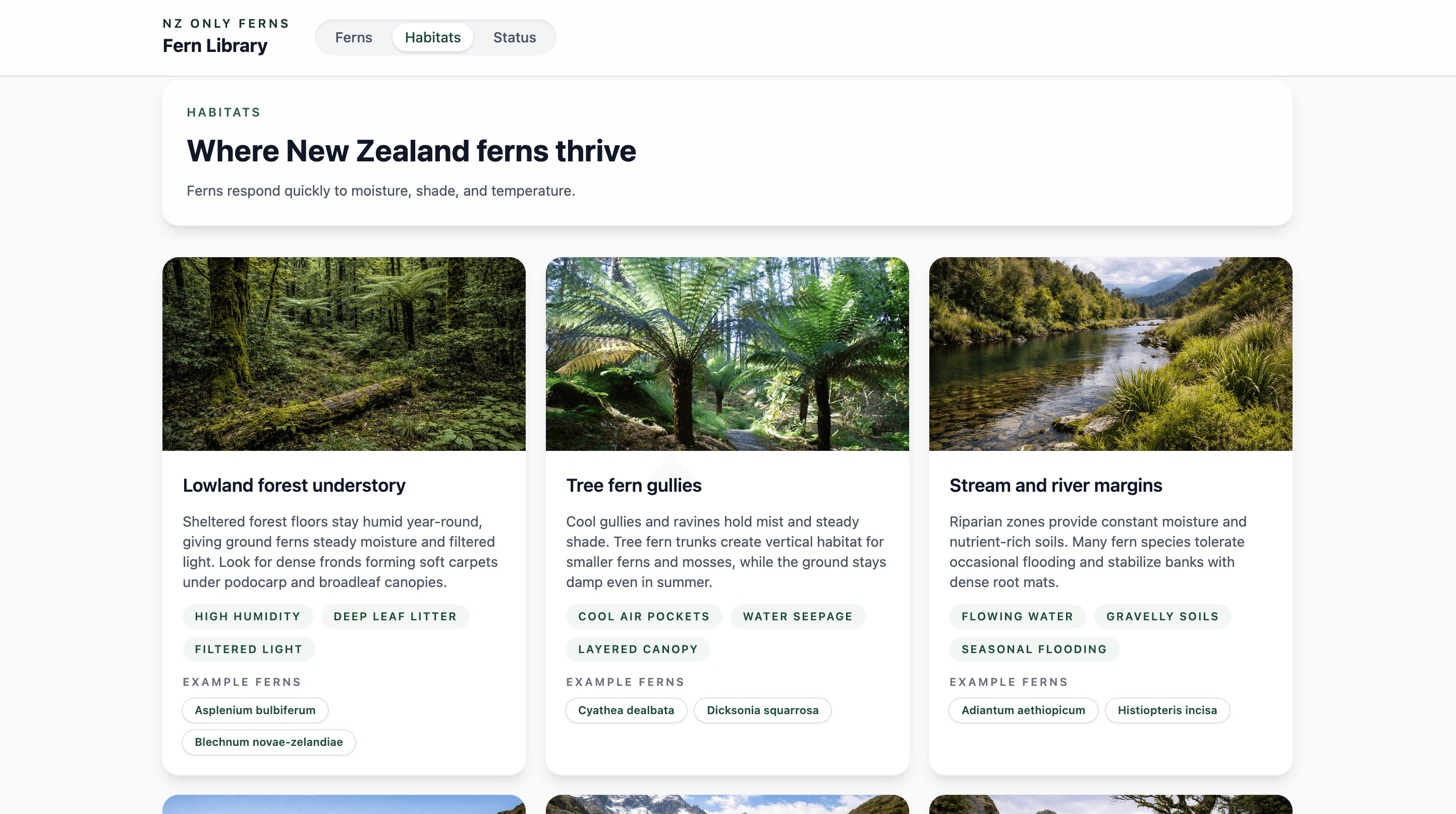 NZ Ferns Library Image