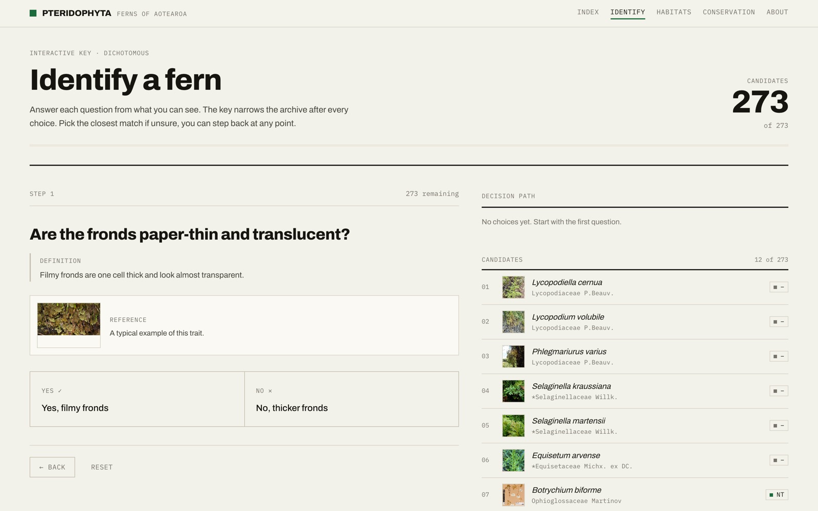 The interactive dichotomous key, asking a trait question with a live candidate list